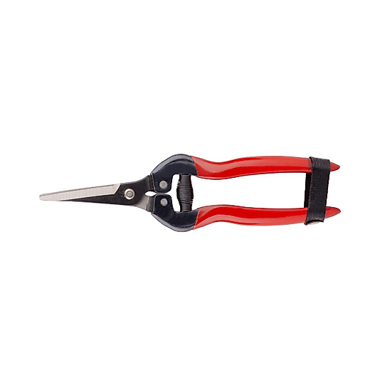 SP19 MEYVE TOPLAMA MAKASI