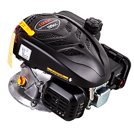 LC1P65FE EUR5 BENZİNLİ MOTOR 139cc ÇİM TİP