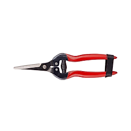 SP19 MEYVE TOPLAMA MAKASI